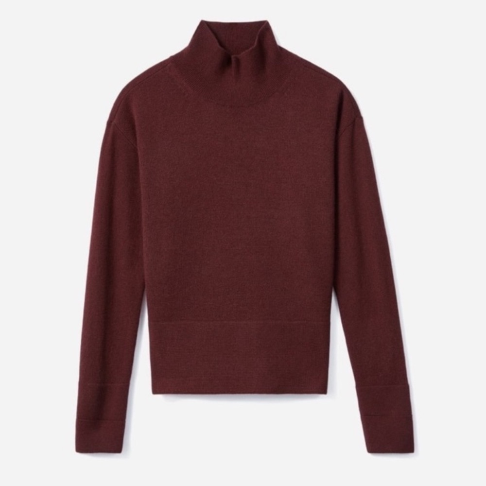 NwT EVERLANE The Cashmere Square Turtleneck Women’s Size XS in Chocolate Brown